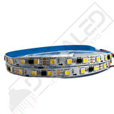 Gün Işığı Pixel Şerit Led 2811 12 Volt IP20 5M