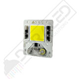 220V Cob Led 220 volt Cob Led Yeşil 50W Projektör Ledi