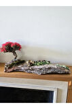 El Yapımı Doğal Ağaç Kabuğu Üzerine Bonsai Ağaç Dekor – Şoklanmış Yosunlu & Doğal Hediyelik Obje
