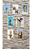Buz Devri 8li Sticker. Sid, Manfred, Scrat Sticker Set