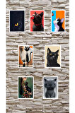 Kedi Temalı sticker 8 adet karışık catlovers catlover Cat
