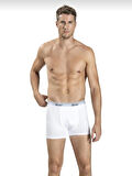 JİBER 156 ERKEK BOXER LİKRALI ŞORT TEKLİ 