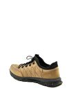 Dexter DX479289-54