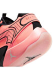 Jordan Luka 2 Erkek Basketbol Ayakkabısı DX8733-800