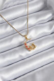 Dodes Dodes 316L Çelik Gold Renk Hilal Kedi Model Zirkon Taşlı Detay Kadın Kolye TG27BKO8140