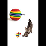 Dodes Sünger Kedi Köpek Çiğneme Ve Oyun Topu 4 Adet