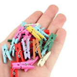 Dodes 100'lü Renkli Ahşap Mandal Seti (2.5 cm)