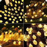 Dodes 7m 50 LED Solar Led Işık