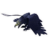 Dodes Siyah Plastik Kartal Yarasa Anahtarlık Şaka