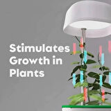 Dodes Hızlı Bitki Yetiştirme Saksısı