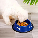 Dodes Renkli Kemik Desenli Metal Mama Kabı