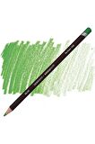 Derwent Coloursoft Pencil Pea Green (c430)