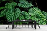 Tropikal Yaprak Desenli Duvar Kağıdı Baskı