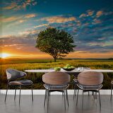 Bulut Ağaç Gündoğumu Manzaralı Duvar Kağıdı Baskı