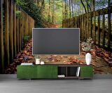 Sonbahar Köprü Manzaralı Duvar Kağıdı Baskı