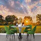 Gündoğumu Doğa Manzaralı Duvar Kağıdı Baskı