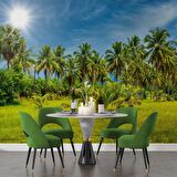 Palmiye Ağaçlı Duvar Kağıdı Baskı