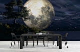 Ay ve Gece Manzarası Duvar Kağıdı