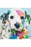 Movas Sanat Renkli Köpek Elmas Mozaik Tablo / Mozaik Puzzle 40x40cm E20203707M