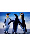 Movas Sanat Mutlu Penguenler Elmas Mozaik Tablo / Mozaik Puzzle 60 x 45cm E20203746M