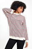ALEXANDERGARDI BİSİKLET YAKA ÇİZGİLİ SWEATSHİRT(E23-761A-BYN)