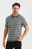 ALEXANDERGARDI ÇİZGİLİ DÜĞMELİ POLO YAKA TRİKO T-SHIRT (E24-EZE-25)