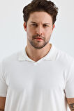 ALEXANDERGARDI POLO YAKA REGULAR FİT t-shirt (E24-EZE-29)