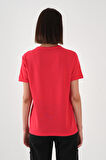 ALEXANDERGARDI V Yaka T-shirt