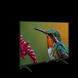 Arçelik A43 D 697 B Android TV