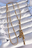 316L Çelik Gold Renk Boyu Ayarlanabilir Sallantılı Model Kolye - EBJ240714W25393