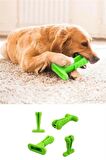 Köpek Diş Temizleyici ve Kaşıyıcı Sağlıklı Küçük Boy Oyuncak