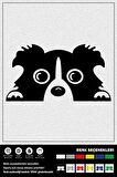 BAGAJDAN BAKAN KÖPEK STICKER 20 x 10 cm