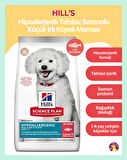 Hill's Hipoalerjenik Tahılsız Somonlu Küçük ve Mini Irk Yetişkin Köpek Maması 6kg