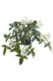 FEJKA Yapay Bitki, Beyaz, 12 cm, Yasemin

yapay bitki, beyaz, 12 cm, yasemin