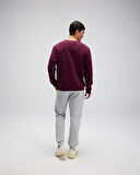 Ellesse Erkek Sweatshirt EM579