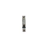 SİEMENS 5Sl6116-6Ya 16A 1 Fazlı 5Sl Classic Anahtarlı Otomatik Sigorta 6Ka B Tipi Çabuk Karakterli