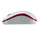 Rapoo 17300 M10 Plus 1000DPI Kırmızı / Beyaz Kablosuz Mouse