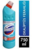 Çamaşır Suyu 750 Ml Okaliptüs Ferahlığı 8690637895159