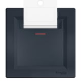Schneider Asfora Energy Saver Mekanik Antrasit EPH6200171