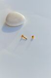 Erkek Çelik Piercing Tragus Helix Kıkırdak 8 mm Gold