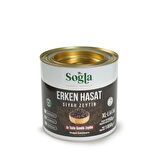 Erken Hasat Gemlik Zeytini 1850g Teneke (Kızıl Zeytin)