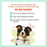 Biofeline Omega 3-6 & Biotin Balık Yağı – Kedi ve Köpekler İçin Parlak Tüy ve Sağlıklı Cilt Takviyesi 250 ml