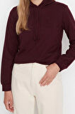 Tarz Regular Kapüşonlu Standart Kol Regular Basic İnce Örme Sweatshirt