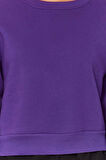 Tarz Crop Dik Yaka Düşük Kol Crop Rahat Kesim Crop Basic Kalın İçi polarlı Örme Sweatshirt