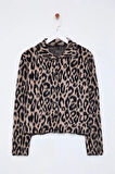 Stil Modern Kadın Regular Standart Kol Polo Yaka Leopar Desenli Triko Hırka