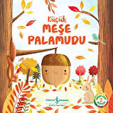 Küçük Meşe Palamudu Doğanın Eşsiz Hikayeleri 2-Korunaklı Poşetle