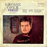 Fidelio - Ludwig van Beethoven  Klasik Vinly Plak alithestereo