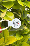For You Model2 Beyaz İp Fitil Etiketi 100 Adet