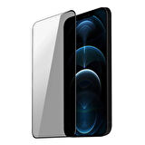 iPhone 12 / 12 Pro ”ESD ANTI-STATIC” Gizli Hayalet Cam Ekran Koruyucu