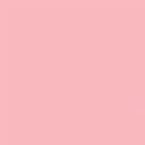 Gdx Seyyar Kağıt Sonsuz Stüdyo Fon Perde (Coral) 2.70x11 Metre